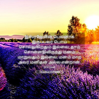 Picture 05 - 1 சாமுவேல் 15:29 TAMIRV - இஸ்ரவேலின் பெலனாக - Bible Verse Picture
