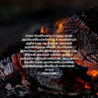 Picture 05 - 1 சாமுவேல் 15:6 TAMIRV - சவுல் கேனியரை - Bible Verse Picture