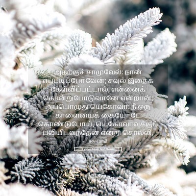 Picture 05 - 1 சாமுவேல் 16:2 TAMIRV - அதற்குச் - Bible Verse Picture
