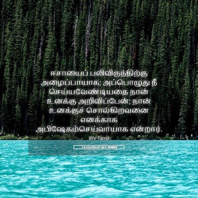 Picture 05 - 1 சாமுவேல் 16:3 TAMIRV - ஈசாயைப் - Bible Verse Picture