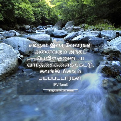 Picture 05 - 1 சாமுவேல் 17:11 TAMIRV - சவுலும் - Bible Verse Picture