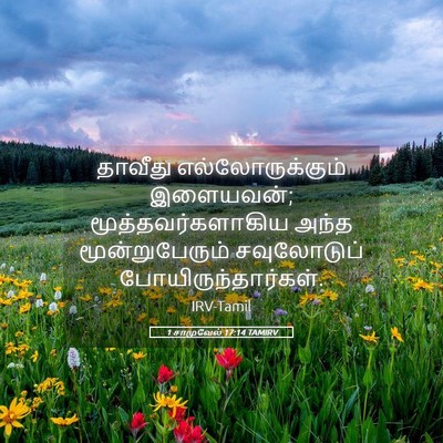 Picture 05 - 1 சாமுவேல் 17:14 TAMIRV - தாவீது - Bible Verse Picture