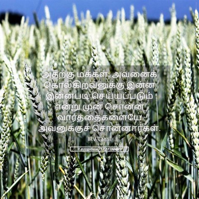 Picture 05 - 1 சாமுவேல் 17:27 TAMIRV - அதற்கு மக்கள்: - Bible Verse Picture
