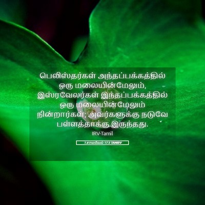 Picture 05 - 1 சாமுவேல் 17:3 TAMIRV - பெலிஸ்தர்கள் - Bible Verse Picture