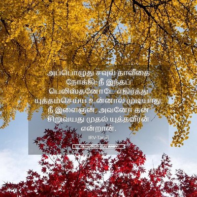 Picture 05 - 1 சாமுவேல் 17:33 TAMIRV - அப்பொழுது சவுல் - Bible Verse Picture