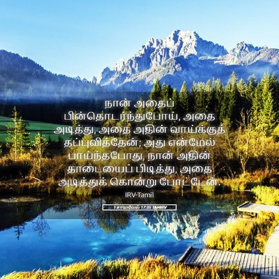 Picture 05 - 1 சாமுவேல் 17:35 TAMIRV - நான் அதைப் - Bible Verse Picture