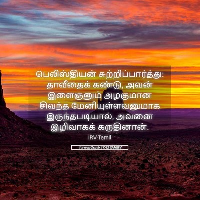 Picture 05 - 1 சாமுவேல் 17:42 TAMIRV - பெலிஸ்தியன் - Bible Verse Picture