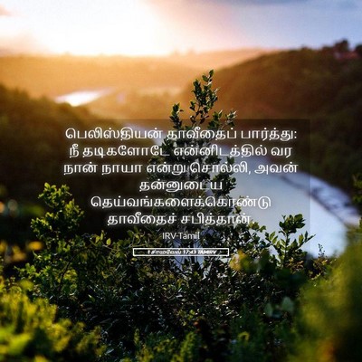 Picture 05 - 1 சாமுவேல் 17:43 TAMIRV - பெலிஸ்தியன் - Bible Verse Picture