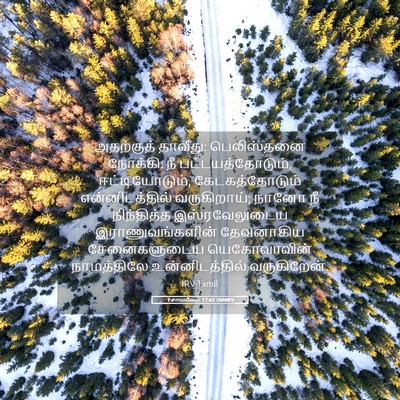 Picture 05 - 1 சாமுவேல் 17:45 TAMIRV - அதற்குத் தாவீது: - Bible Verse Picture