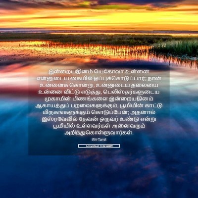 Picture 05 - 1 சாமுவேல் 17:46 TAMIRV - இன்றையதினம் - Bible Verse Picture