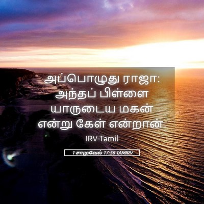 Picture 05 - 1 சாமுவேல் 17:56 TAMIRV - அப்பொழுது ராஜா: - Bible Verse Picture
