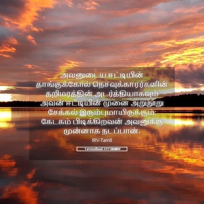 Picture 05 - 1 சாமுவேல் 17:7 TAMIRV - அவனுடைய ஈட்டியின் - Bible Verse Picture