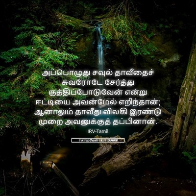 Picture 05 - 1 சாமுவேல் 18:11 TAMIRV - அப்பொழுது சவுல் - Bible Verse Picture