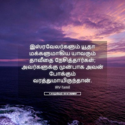 Picture 05 - 1 சாமுவேல் 18:16 TAMIRV - இஸ்ரவேலர்களும் - Bible Verse Picture