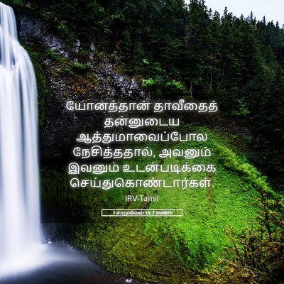 Picture 05 - 1 சாமுவேல் 18:3 TAMIRV - யோனத்தான் - Bible Verse Picture