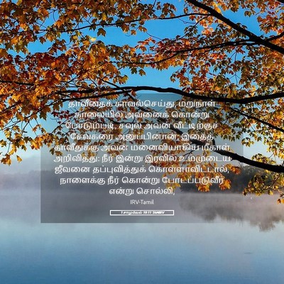 Picture 05 - 1 சாமுவேல் 19:11 TAMIRV - தாவீதைக் - Bible Verse Picture