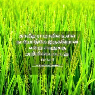Picture 05 - 1 சாமுவேல் 19:19 TAMIRV - தாவீது ராமாவில் - Bible Verse Picture