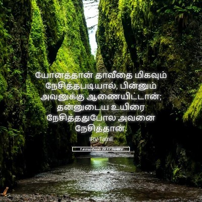 Picture 05 - 1 சாமுவேல் 20:17 TAMIRV - யோனத்தான் தாவீதை - Bible Verse Picture