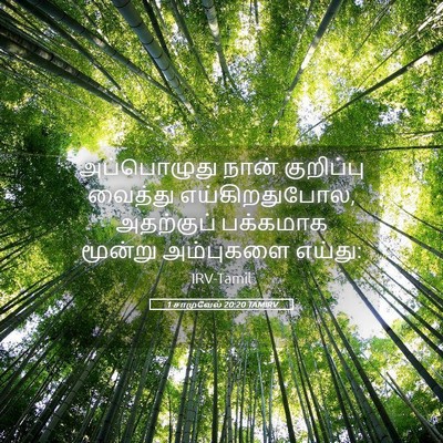 Picture 05 - 1 சாமுவேல் 20:20 TAMIRV - அப்பொழுது நான் - Bible Verse Picture