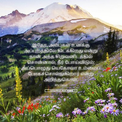 Picture 05 - 1 சாமுவேல் 20:22 TAMIRV - இதோ, அம்புகள் - Bible Verse Picture