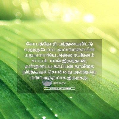 Picture 05 - 1 சாமுவேல் 20:34 TAMIRV - கோபத்தோடு - Bible Verse Picture