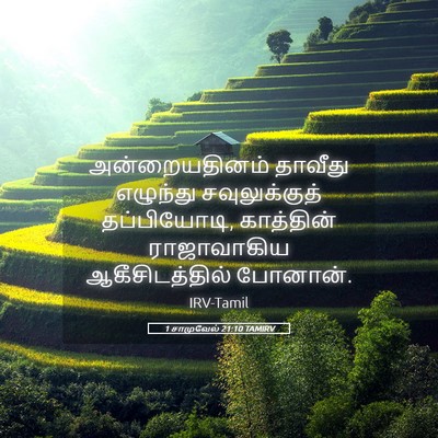 Picture 05 - 1 சாமுவேல் 21:10 TAMIRV - அன்றையதினம் - Bible Verse Picture
