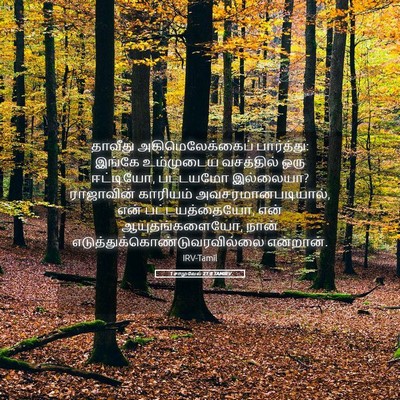 Picture 05 - 1 சாமுவேல் 21:8 TAMIRV - தாவீது - Bible Verse Picture