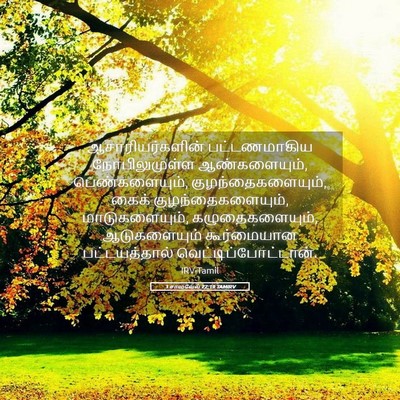Picture 05 - 1 சாமுவேல் 22:19 TAMIRV - ஆசாரியர்களின் - Bible Verse Picture