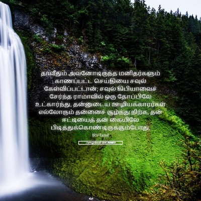 Picture 05 - 1 சாமுவேல் 22:6 TAMIRV - தாவீதும் - Bible Verse Picture