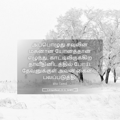 Picture 05 - 1 சாமுவேல் 23:16 TAMIRV - அப்பொழுது சவுலின் - Bible Verse Picture