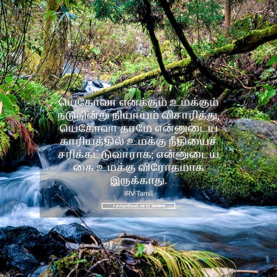 Picture 05 - 1 சாமுவேல் 24:12 TAMIRV - யெகோவா எனக்கும் - Bible Verse Picture