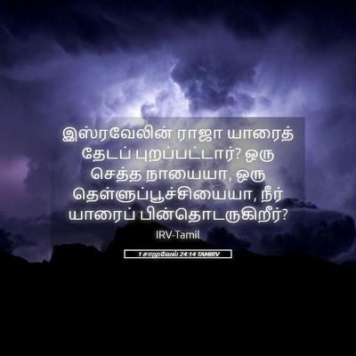 Picture 05 - 1 சாமுவேல் 24:14 TAMIRV - இஸ்ரவேலின் ராஜா - Bible Verse Picture