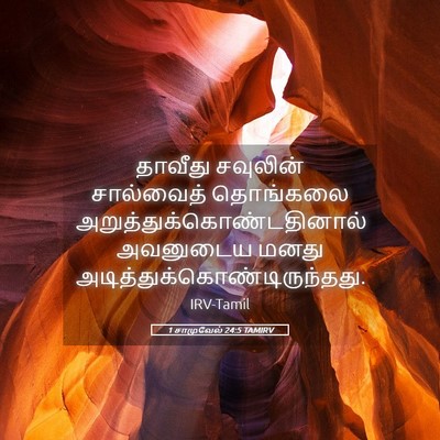 Picture 05 - 1 சாமுவேல் 24:5 TAMIRV - தாவீது சவுலின் - Bible Verse Picture