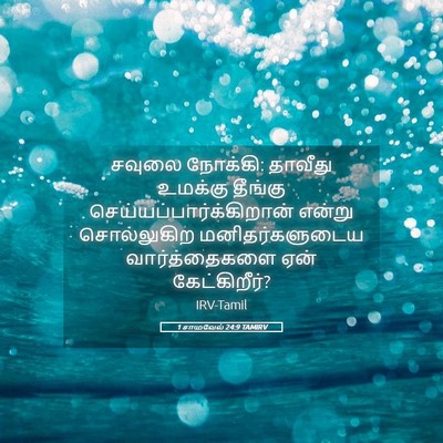 Picture 05 - 1 சாமுவேல் 24:9 TAMIRV - சவுலை நோக்கி: - Bible Verse Picture