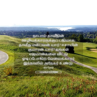 Picture 05 - 1 சாமுவேல் 25:10 TAMIRV - நாபால் தாவீதின் - Bible Verse Picture