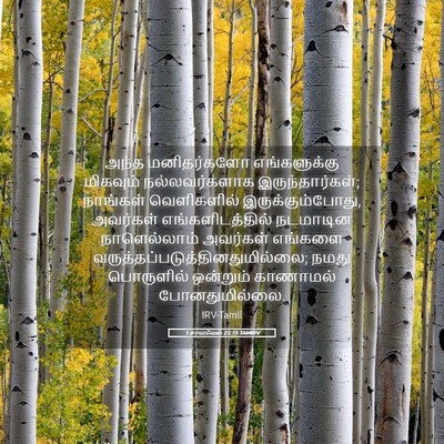 Picture 05 - 1 சாமுவேல் 25:15 TAMIRV - அந்த மனிதர்களோ - Bible Verse Picture