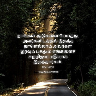 Picture 05 - 1 சாமுவேல் 25:16 TAMIRV - நாங்கள் ஆடுகளை - Bible Verse Picture