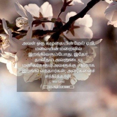 Picture 05 - 1 சாமுவேல் 25:20 TAMIRV - அவள் ஒரு - Bible Verse Picture