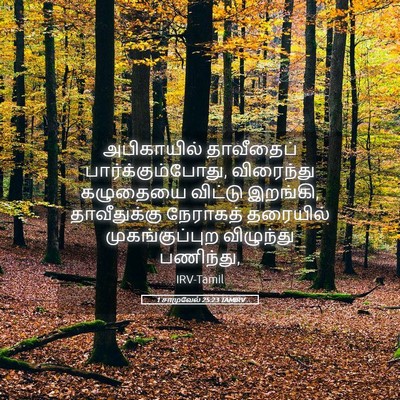 Picture 05 - 1 சாமுவேல் 25:23 TAMIRV - அபிகாயில் - Bible Verse Picture