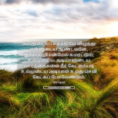 Picture 05 - 1 சாமுவேல் 25:24 TAMIRV - அவனுடைய பாதத்திலே - Bible Verse Picture