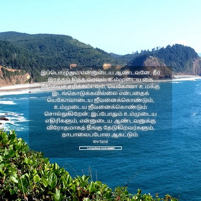 Picture 05 - 1 சாமுவேல் 25:26 TAMIRV - இப்பொழுதும் - Bible Verse Picture