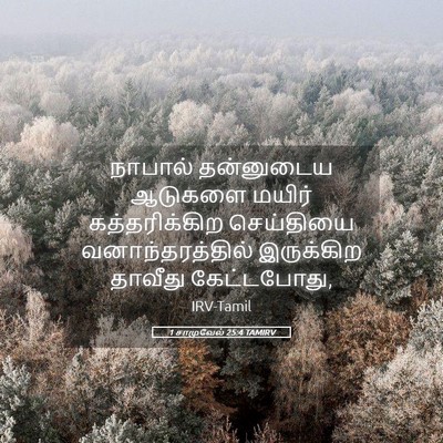 Picture 05 - 1 சாமுவேல் 25:4 TAMIRV - நாபால் தன்னுடைய - Bible Verse Picture