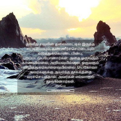 Picture 05 - 1 சாமுவேல் 26:12 TAMIRV - தாவீது சவுலின் - Bible Verse Picture