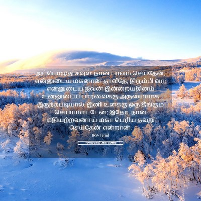 Picture 05 - 1 சாமுவேல் 26:21 TAMIRV - அப்பொழுது சவுல்: - Bible Verse Picture