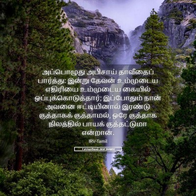 Picture 05 - 1 சாமுவேல் 26:8 TAMIRV - அப்பொழுது அபிசாய் - Bible Verse Picture