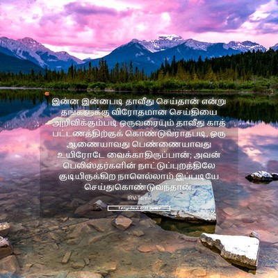 Picture 05 - 1 சாமுவேல் 27:11 TAMIRV - இன்ன இன்னபடி - Bible Verse Picture
