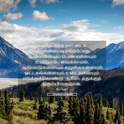 Picture 05 - 1 சாமுவேல் 27:9 TAMIRV - தாவீது அந்த - Bible Verse Picture