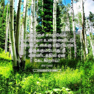 Picture 05 - 1 சாமுவேல் 28:16 TAMIRV - அதற்குச் - Bible Verse Picture