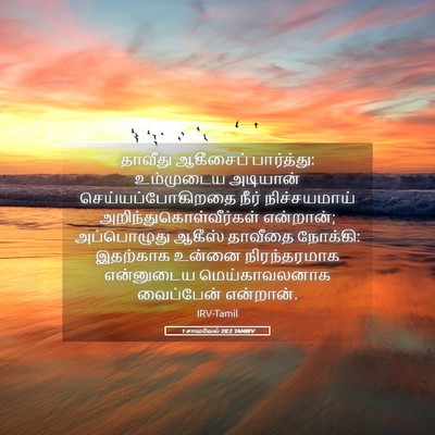 Picture 05 - 1 சாமுவேல் 28:2 TAMIRV - தாவீது ஆகீசைப் - Bible Verse Picture