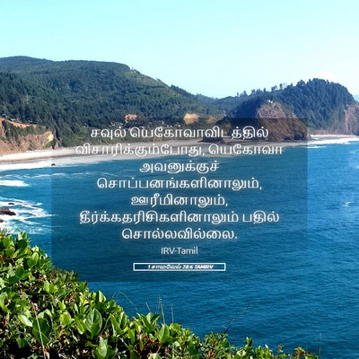 Picture 05 - 1 சாமுவேல் 28:6 TAMIRV - சவுல் - Bible Verse Picture